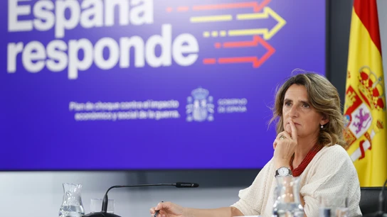 La vicepresidenta tercera y ministra para la Transición Ecológica, Teresa Ribera La vicepresidenta tercera y ministra para la Transición Ecológica, Teresa Ribera