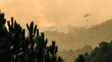 El incendio en la Sierra de Gredos sigue sin control con más de 700 hectáreas arrasadas 