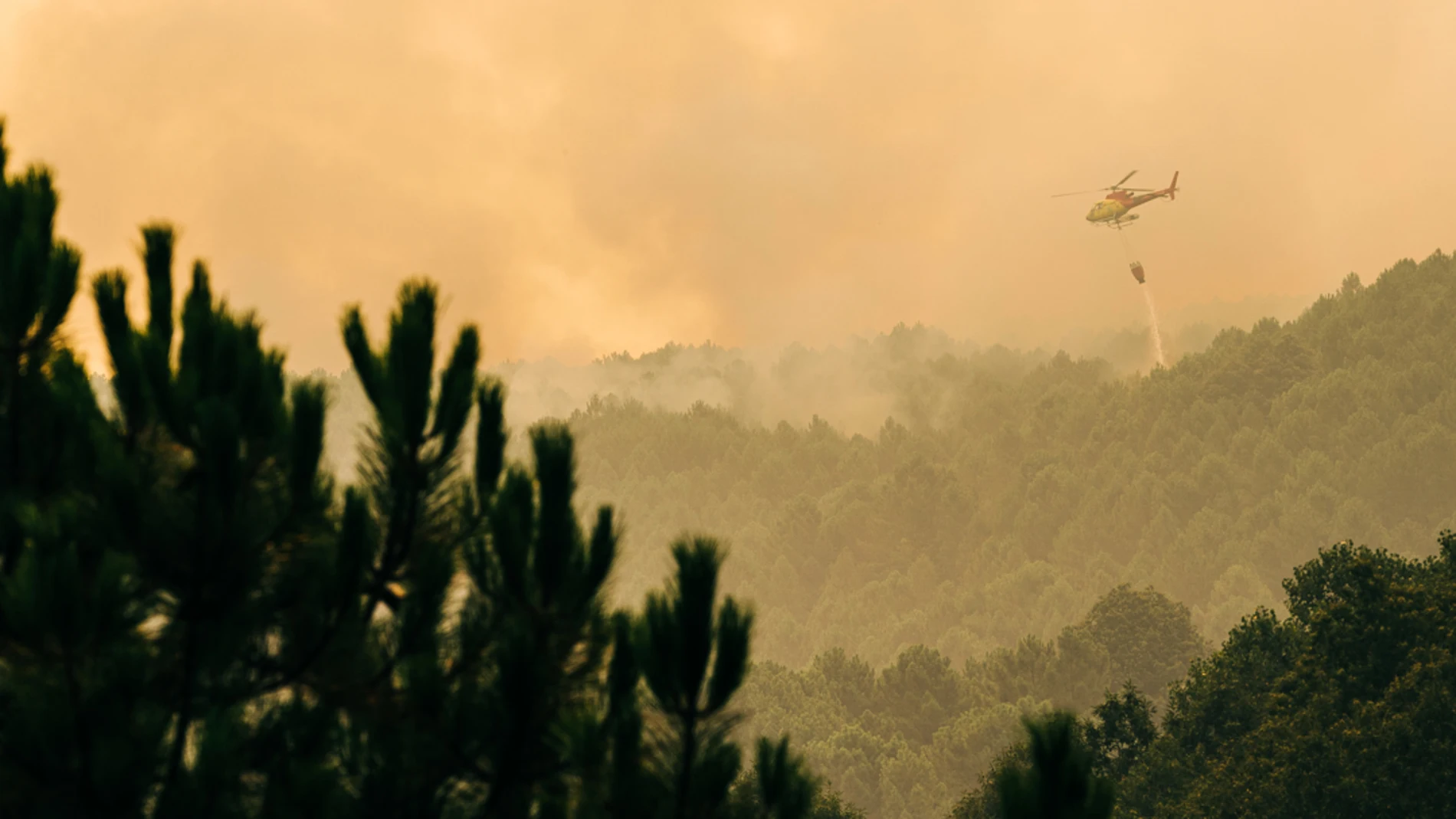 El incendio en la Sierra de Gredos sigue sin control con más de 700 hectáreas arrasadas 