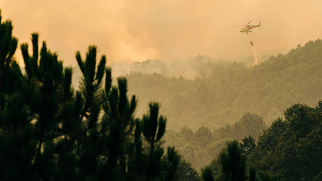 El incendio en la Sierra de Gredos sigue sin control con más de 700 hectáreas arrasadas 