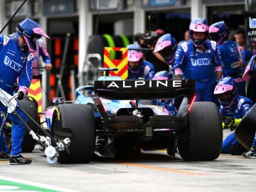 El Alpine, en boxes