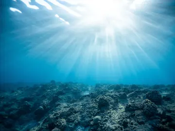 Un estudio revela la importancia de la salinidad del agua para la vida extraterrestre Un estudio revela la importancia de la salinidad del agua para la vida extraterrestre