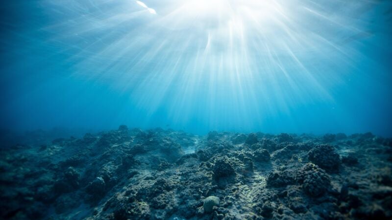Un estudio revela la importancia de la salinidad del agua para la vida extraterrestre