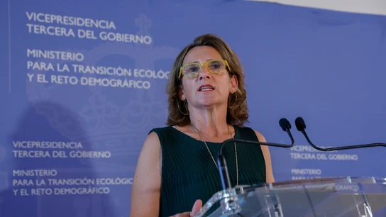 La ministra para la Transición Ecológica y el Reto Demográfico, Teresa Ribera La ministra para la Transición Ecológica y el Reto Demográfico, Teresa Ribera