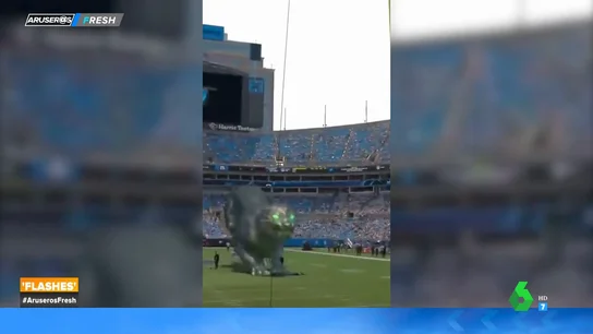 Pantera en la NFL Pantera en la NFL