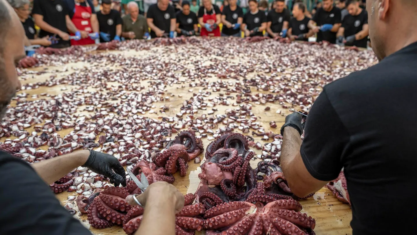 La tapa de pulpo más grande del mundo: 515 kilos cortados en menos de 11 minutos La tapa de pulpo más grande del mundo: 515 kilos cortados en menos de 11 minutos