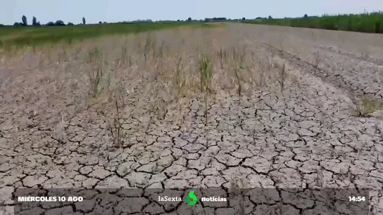 Europa afronta la peor sequía en 500 años: el 47% del continente se encuentra en aviso por falta de agua Europa afronta la peor sequía en 500 años: el 47% del continente se encuentra en aviso por falta de agua