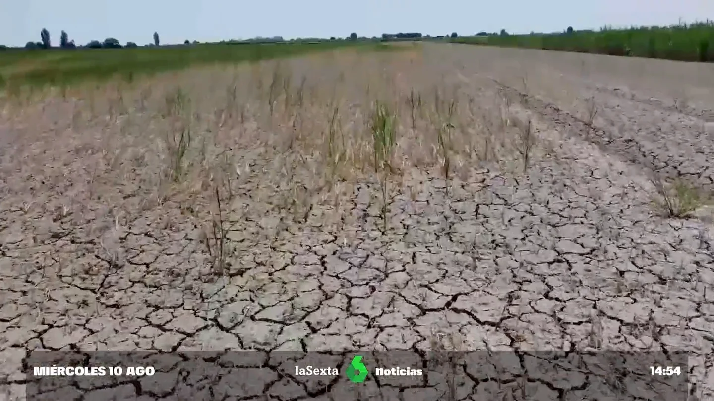 Europa afronta la peor sequía en 500 años: el 47% del continente se encuentra en aviso por falta de agua Europa afronta la peor sequía en 500 años: el 47% del continente se encuentra en aviso por falta de agua
