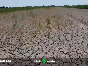 Europa afronta la peor sequía en 500 años: el 47% del continente se encuentra en aviso por falta de agua