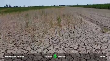 Europa afronta la peor sequía en 500 años: el 47% del continente se encuentra en aviso por falta de agua