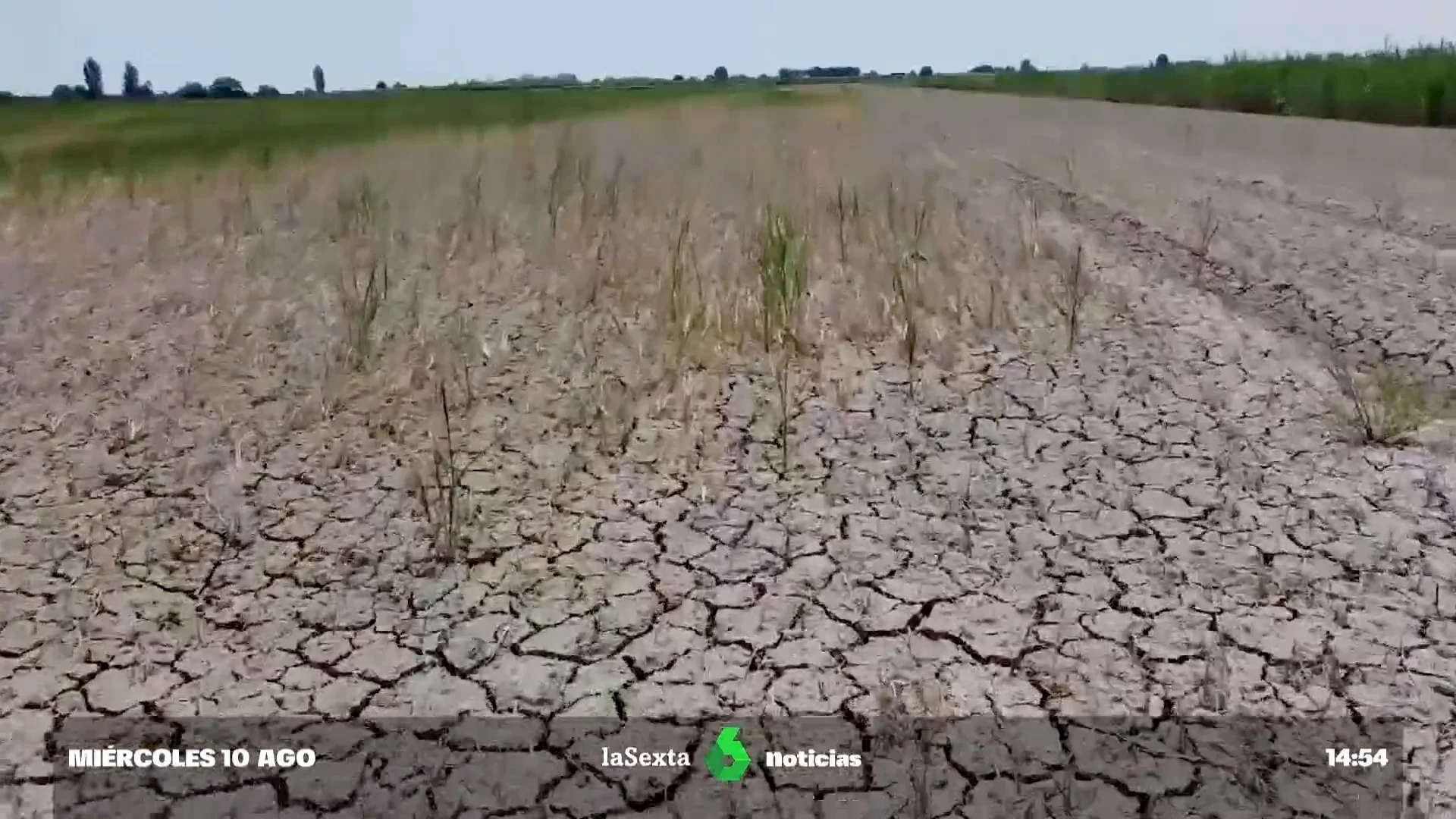 Europa afronta la peor sequía en 500 años: el 47% del continente se encuentra en aviso por falta de agua