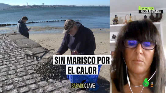 El cambio climático amenaza a la costa gallega y sus mariscadores: el mar está dejando de producir El cambio climático amenaza a la costa gallega y sus mariscadores: el mar está dejando de producir