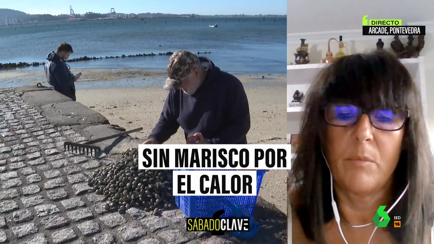 El cambio climático amenaza a la costa gallega y sus mariscadores: el mar está dejando de producir El cambio climático amenaza a la costa gallega y sus mariscadores: el mar está dejando de producir