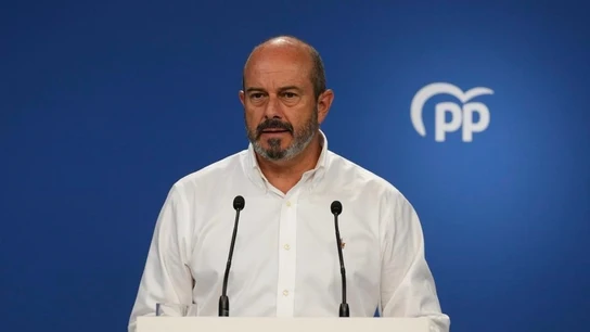 Pedro Rollán, vicesecretario de Coordinación Autonómica del PP Pedro Rollán, vicesecretario de Coordinación Autonómica del PP
