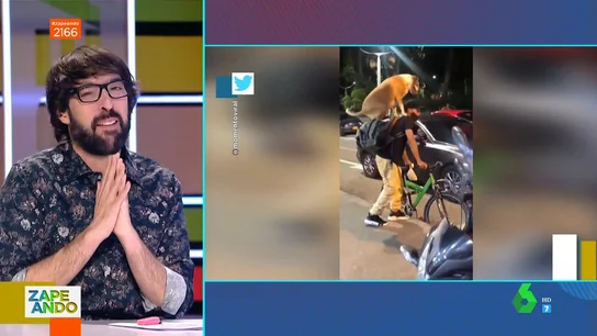 la reacción de Quique Peinado al ver el "desparpajo" de un perro que usa a un humano de transporte la reacción de Quique Peinado al ver el "desparpajo" de un perro que usa a un humano de transporte