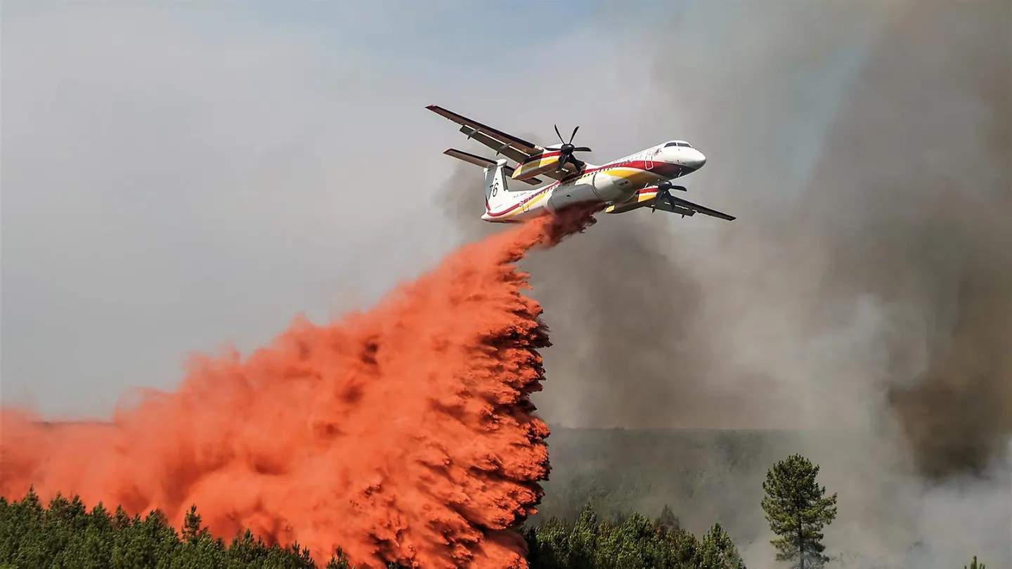 Esperanza ante los peores incendios de Francia: el fuego en la Gironda no registra grandes avances Esperanza ante los peores incendios de Francia: el fuego en la Gironda no registra grandes avances