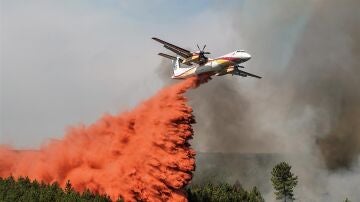 Esperanza ante los peores incendios de Francia: el fuego en la Gironda no registra grandes avances