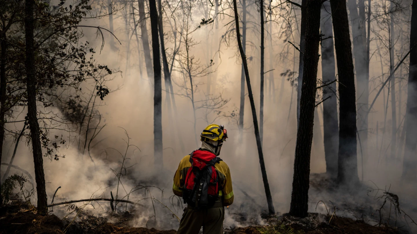 Cinco incendios arrasan más de 3.300 hectáreas en Ourense Cinco incendios arrasan más de 3.300 hectáreas en Ourense