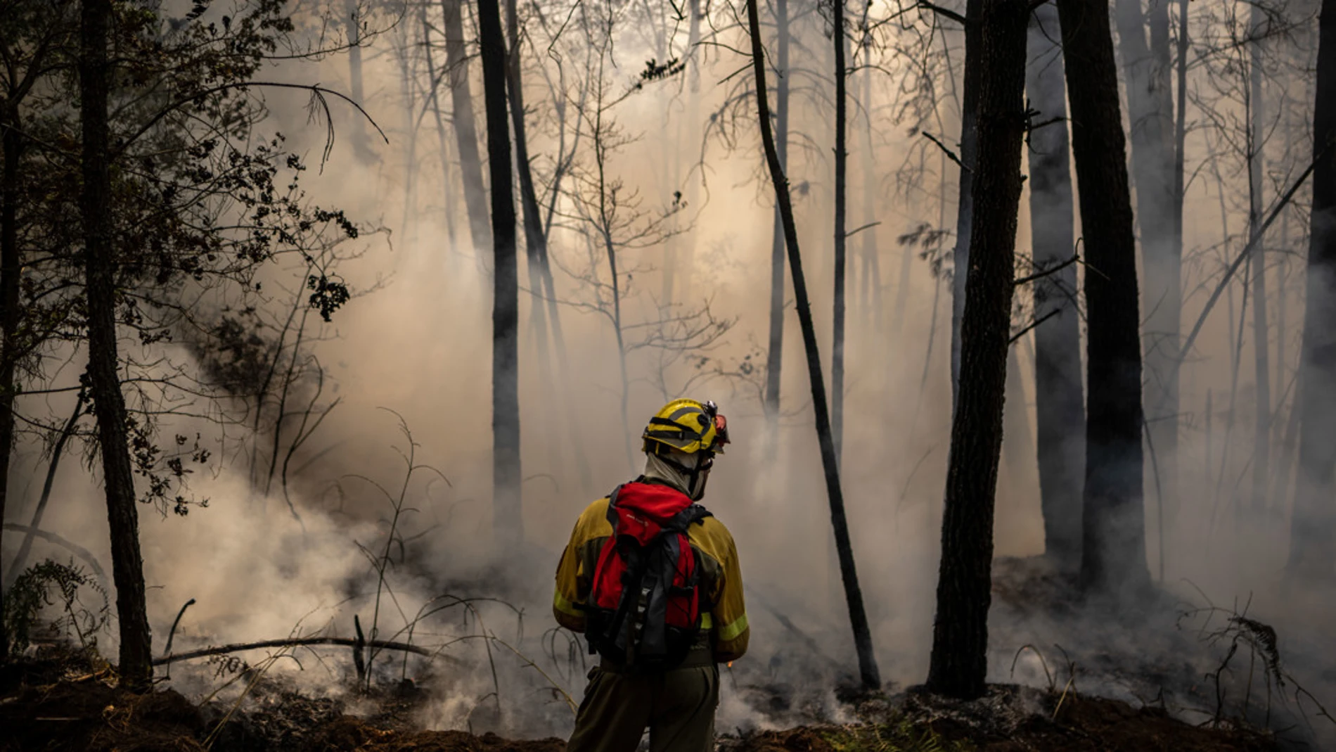 Cinco incendios arrasan más de 3.300 hectáreas en Ourense