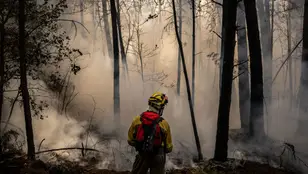 Cinco incendios arrasan más de 3.300 hectáreas en Ourense