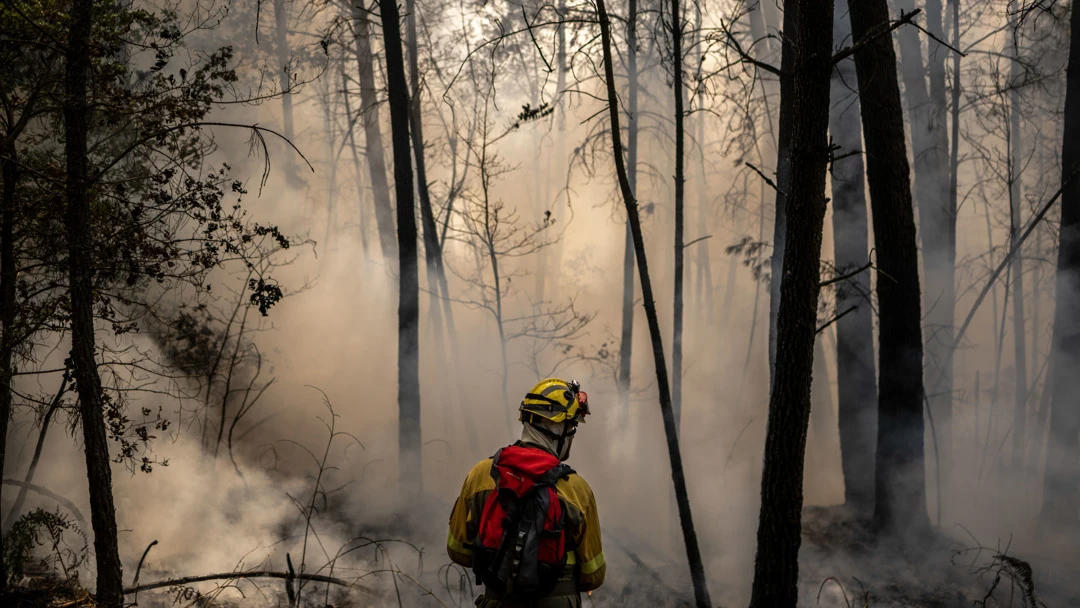 Cinco incendios arrasan más de 3.300 hectáreas en Ourense