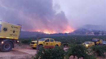 Incendio en Jumilla (Murcia)