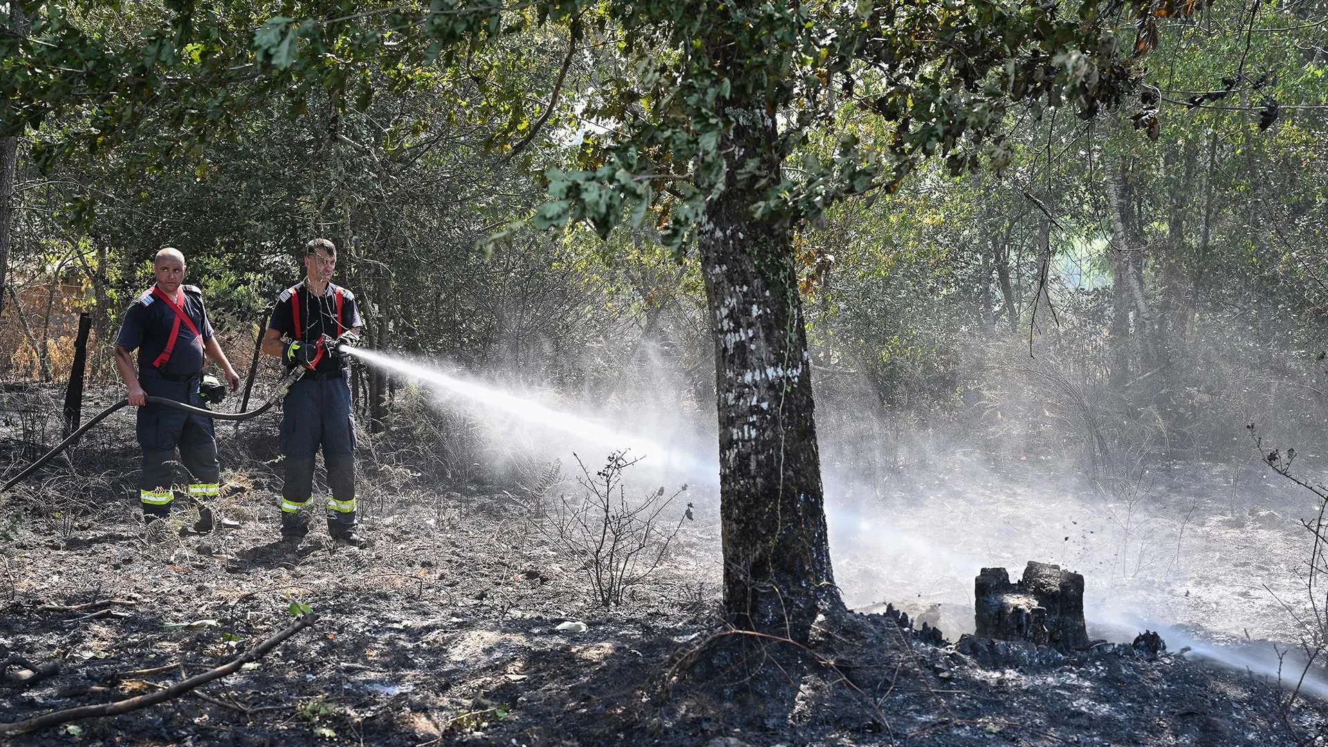 Bomberos rumanos apagan un fuego en la Gironda, Francia. 