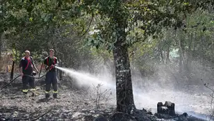 Bomberos rumanos apagan un fuego en la Gironda, Francia. 