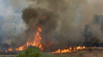  Situación crítica en Zaragoza y Alicante: los incendios sin controlar provocan el desalojo de más de 1.500 personas