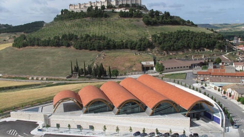 Bodegas Protos