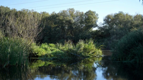 Muere una niña de 9 años en el río Jerte Muere una niña de 9 años en el río Jerte