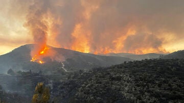 Trabajos de liquidación y refresco efectuados este lunes en el incendio forestal de Useres (Castellón).