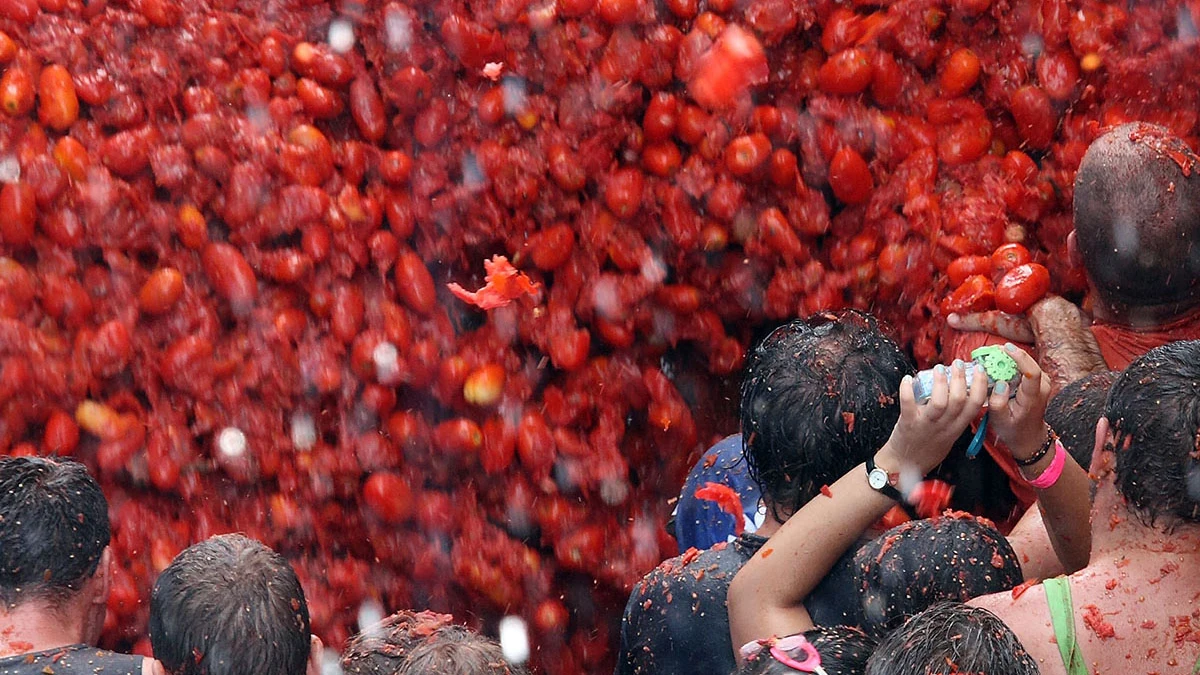 El 31 de agosto se celebra la Tomatina de Bu&ntilde;ol &iquest;est&aacute;s preparado?