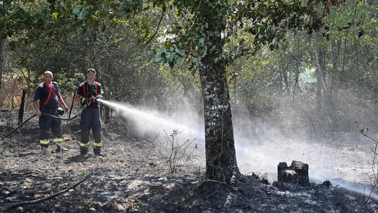 Bomberos rumanos apagan un fuego en la Gironda, Francia. Bomberos rumanos apagan un fuego en la Gironda, Francia.