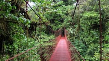 Reserva del Bosque Nuboso Monteverde, Costa Rica