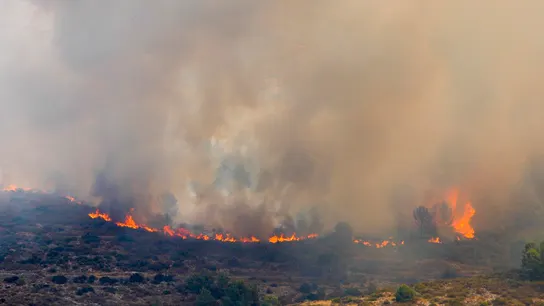 El incendio forestal que se declaró la noche del pasado sábado en Vall d'Ebo. El incendio forestal que se declaró la noche del pasado sábado en Vall d'Ebo.