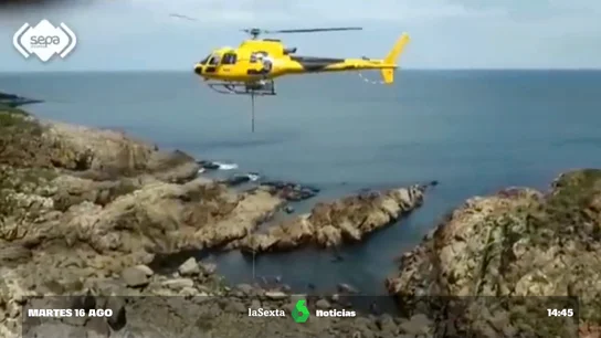 rescate vaca Asturias rescate vaca Asturias