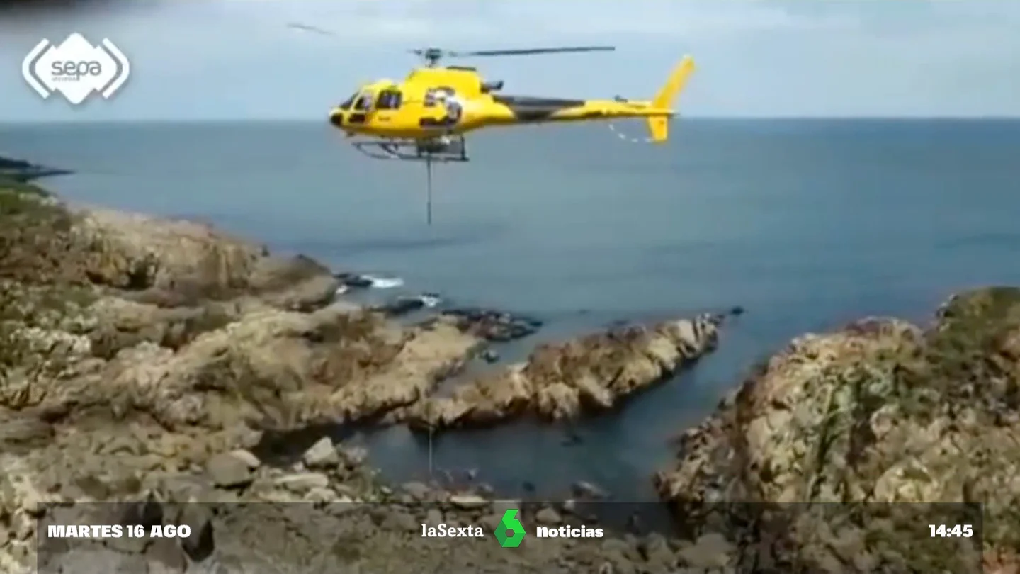 rescate vaca Asturias rescate vaca Asturias