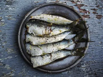 Sardinas Sardinas