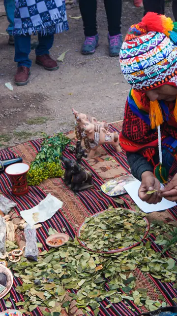 Venta de hoja de coca en Perú Venta de hoja de coca en Perú