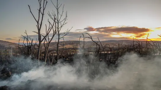 La lluvia ha reducido la llama hasta casi desaparecer en el incendio de Bejís La lluvia ha reducido la llama hasta casi desaparecer en el incendio de Bejís