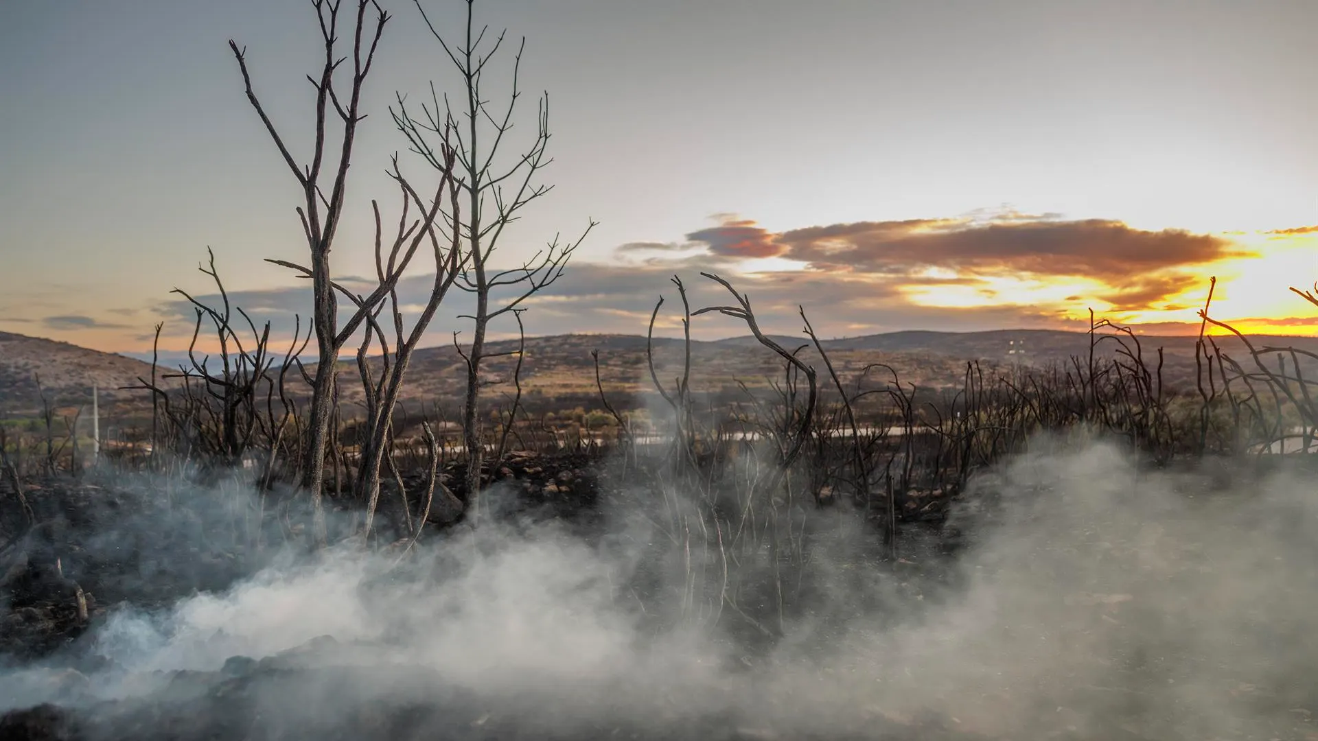 La lluvia ha reducido la llama hasta casi desaparecer en el incendio de Bejís