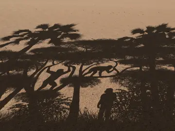 El antepasado mas antiguo del hombre caminaba erguido hace siete millones de anos El antepasado mas antiguo del hombre caminaba erguido hace siete millones de anos