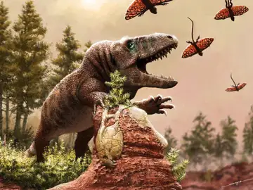 Graves cambios climaticos en la prehistoria dieron lugar a la era de los reptiles Graves cambios climaticos en la prehistoria dieron lugar a la era de los reptiles