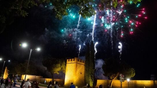 Muere un perro gu&iacute;a tras huir desesperadamente de la pirotecnia de las fiestas de Monachil