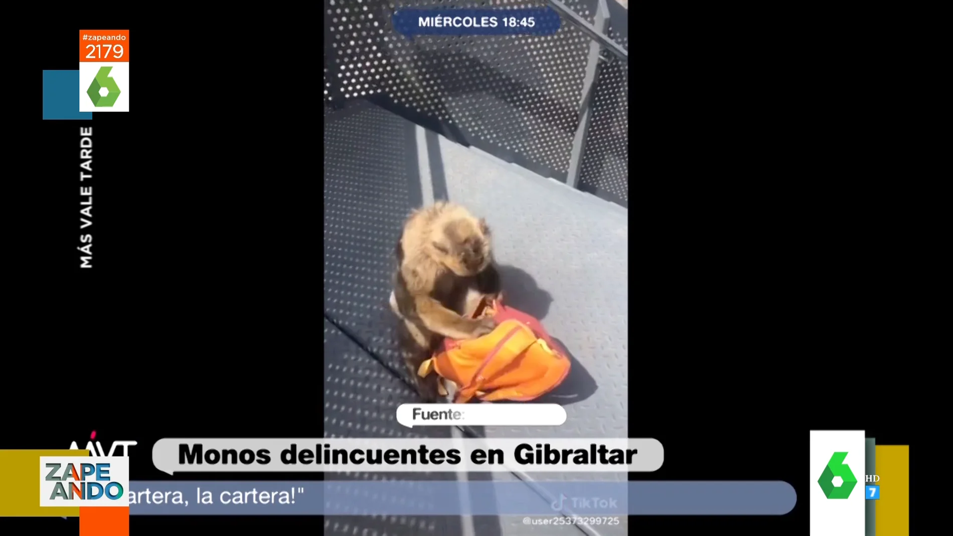 La desesperada reacción de una joven cuando un mono de Gibraltar le roba su  mochila: ¡Quiero mi móvil!