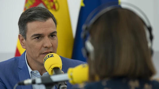 Sánchez recuerda que el PP "acercó a cientos de presos mientras ETA mataba" Sánchez recuerda que el PP "acercó a cientos de presos mientras ETA mataba"