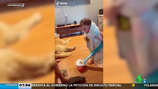 Bebé que pasa el aspirador Bebé que pasa el aspirador
