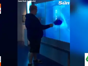 El susto viral de un turista al ver cómo un &#39;tiburón&#39; ataca el cristal del acuario y lo rompe 