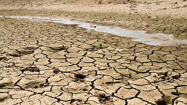 Imagen de un embalse seco por la falta de lluvias